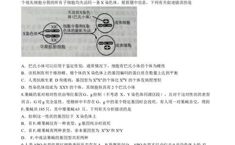 辽宁省名校联盟2023-2024学年高三10月月考生物试题(1)_2023年10月_0210月合集_2024届辽宁省名校联盟高三上学期10月联合考试_辽宁省名校联盟2024届高三上学期10月联合考试生物