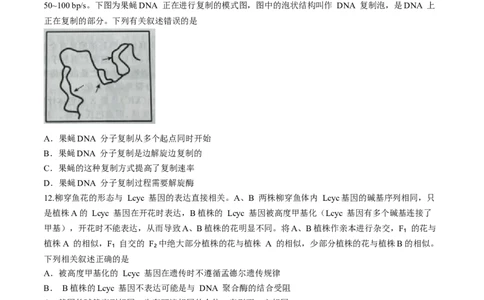 辽宁省名校联盟2023-2024学年高三10月月考生物试题(1)_2023年10月_0210月合集_2024届辽宁省名校联盟高三上学期10月联合考试_辽宁省名校联盟2024届高三上学期10月联合考试生物