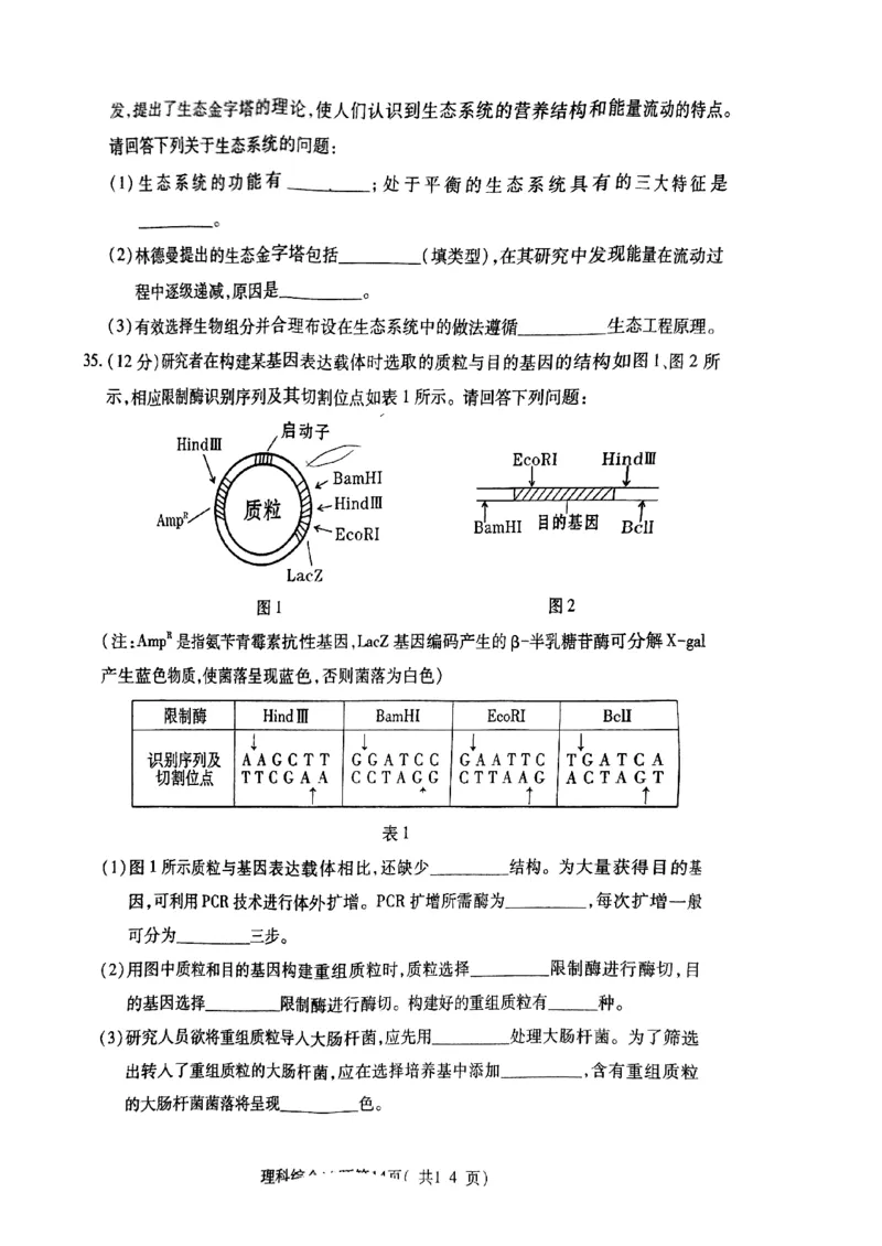2024届山西省临汾市高三下学期考前适应性训练考试（二）理综试题_2024年4月_01按日期_3号_2024届山西省临汾市高三适应性训练考试（二）