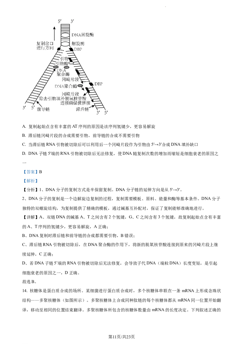 精品解析：江西省宜春市宜丰中学2023-2024学年高三10月月考生物试题（解析版）(1)_2023年10月_0210月合集_2024届江西省宜春市宜丰中学创新部高三上学期10月月考