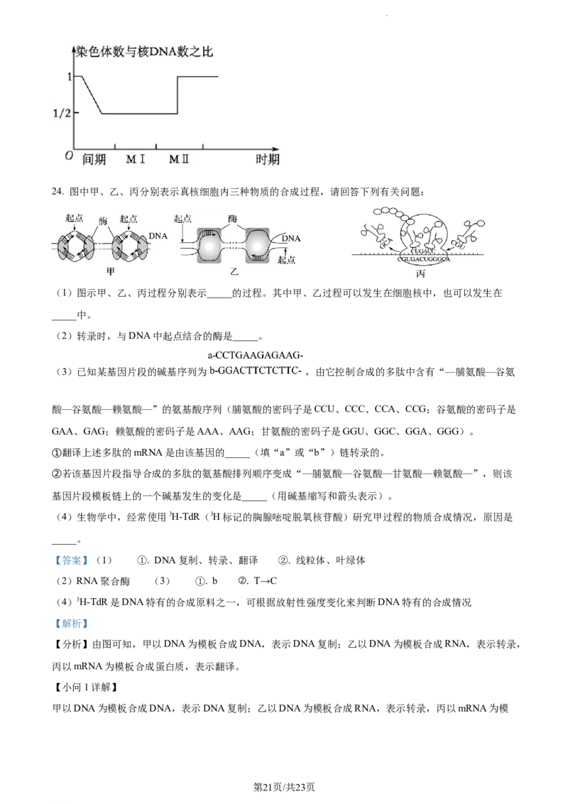 精品解析：江西省宜春市宜丰中学2023-2024学年高三10月月考生物试题（解析版）(1)_2023年10月_0210月合集_2024届江西省宜春市宜丰中学创新部高三上学期10月月考
