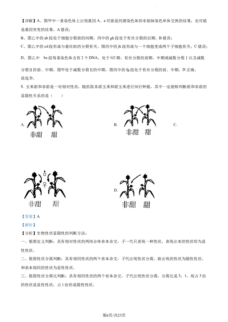 精品解析：江西省宜春市宜丰中学2023-2024学年高三10月月考生物试题（解析版）(1)_2023年10月_0210月合集_2024届江西省宜春市宜丰中学创新部高三上学期10月月考
