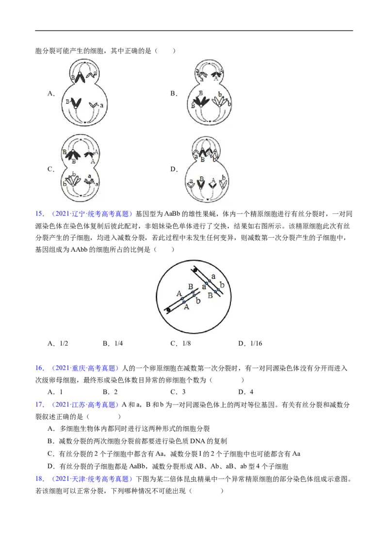 专题06有丝分裂和减数分裂-五年（2019-2023）高考生物真题分项汇编（全国通用）（原卷版）_赠送：2008-2024全套高考真题_高考生物真题