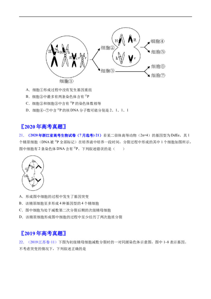 专题06有丝分裂和减数分裂-五年（2019-2023）高考生物真题分项汇编（全国通用）（原卷版）_赠送：2008-2024全套高考真题_高考生物真题