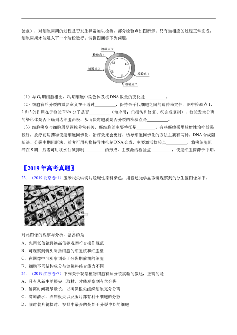 专题06有丝分裂和减数分裂-五年（2019-2023）高考生物真题分项汇编（全国通用）（原卷版）_赠送：2008-2024全套高考真题_高考生物真题