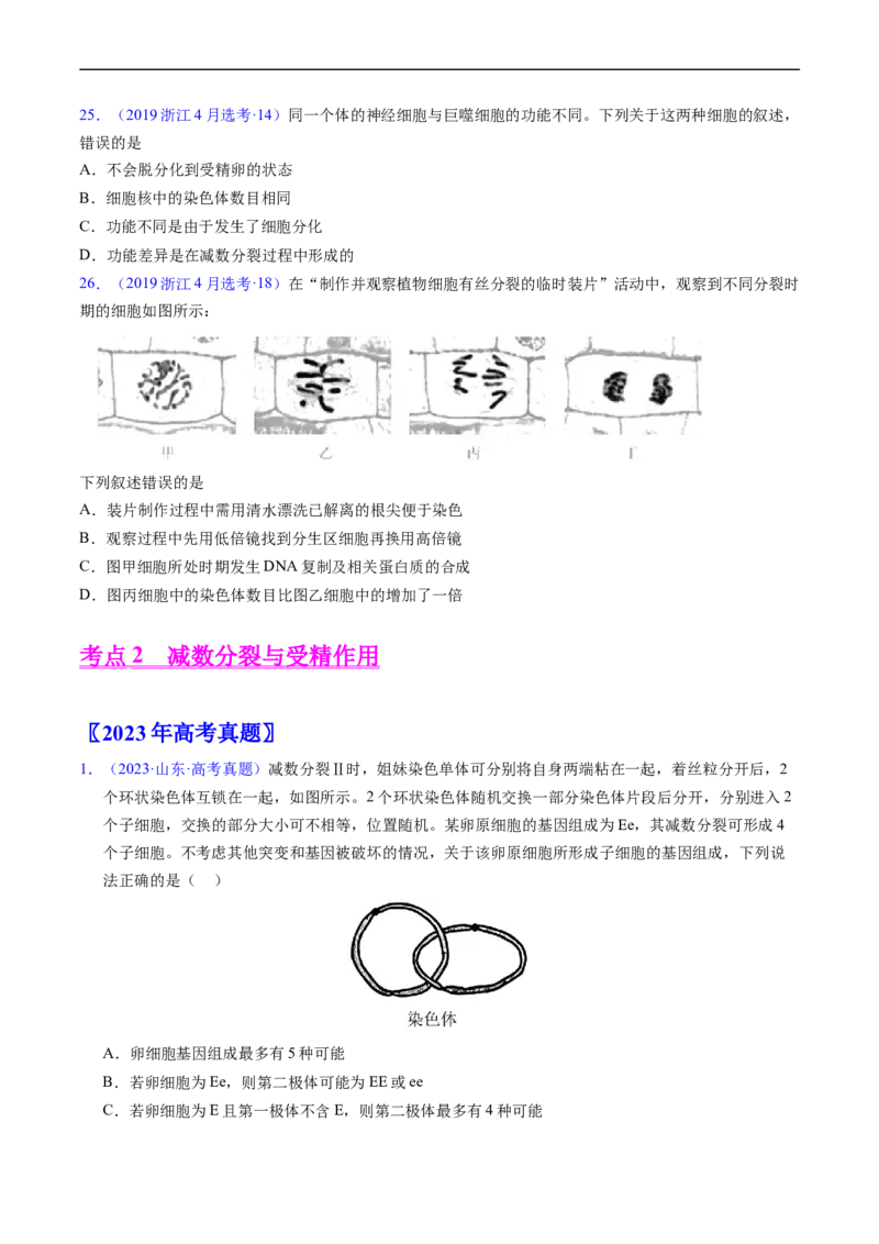 专题06有丝分裂和减数分裂-五年（2019-2023）高考生物真题分项汇编（全国通用）（原卷版）_赠送：2008-2024全套高考真题_高考生物真题