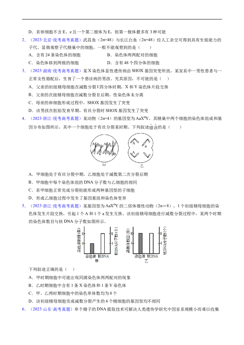 专题06有丝分裂和减数分裂-五年（2019-2023）高考生物真题分项汇编（全国通用）（原卷版）_赠送：2008-2024全套高考真题_高考生物真题