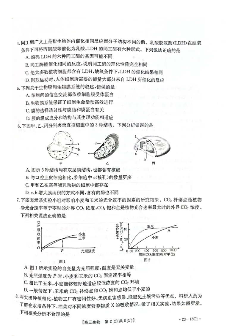 生物试题1_2023年8月_01每日更新_17号_2023届河北金太阳联考23-16C_生物