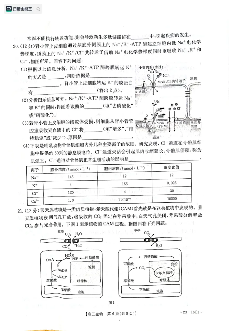 生物试题1_2023年8月_01每日更新_17号_2023届河北金太阳联考23-16C_生物