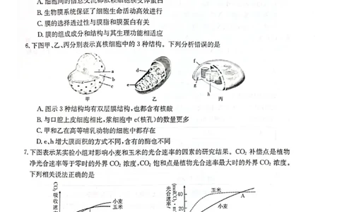生物试题1_2023年8月_01每日更新_17号_2023届河北金太阳联考23-16C_生物