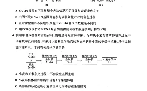 2023届山西省高考考前适应性测试（3月）一模丨理综_2024年2月_01每日更新_14号_2023届山西省高考考前适应性测试（3月）一模全科_2023届山西省高考考前适应性测试（3月）一模理综