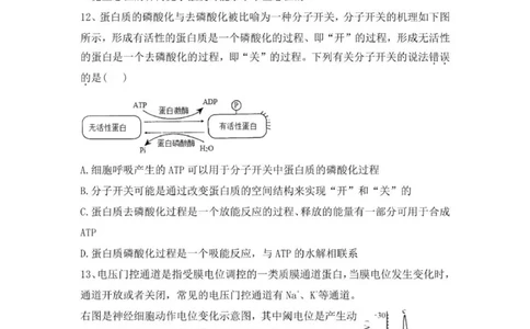 贵州思南中学高三上(月考Ⅱ)-生物试题+答案(1)_2023年9月_029月合集_2024届贵州省思南中学高三上学期第二次月考