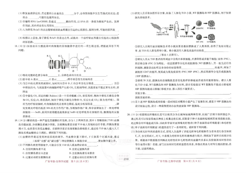 王后雄高考押题预测卷2024广东专版_2024高考押题卷_22024王hou雄_16王后雄押题_2024年王后雄高考押题预测卷（广东专版）