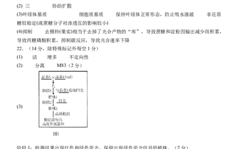 生物试题答案_2024年6月(1)_01按日期_01号_2024届山东省实验中学高三下学期5月高考模拟_2024届山东省实验中学高三下学期5月高考模拟生物