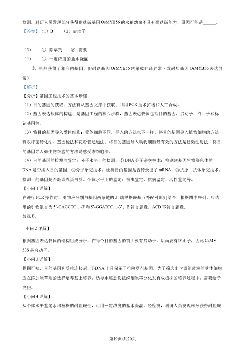 精品解析：广东省六校（东莞中学、广州二中、惠州一中、深圳实验、珠海一中、中山纪念中学）2023-2024学年高三上学期第一次联考生物试题（解析版）_2023年8月_01每日更新_15号