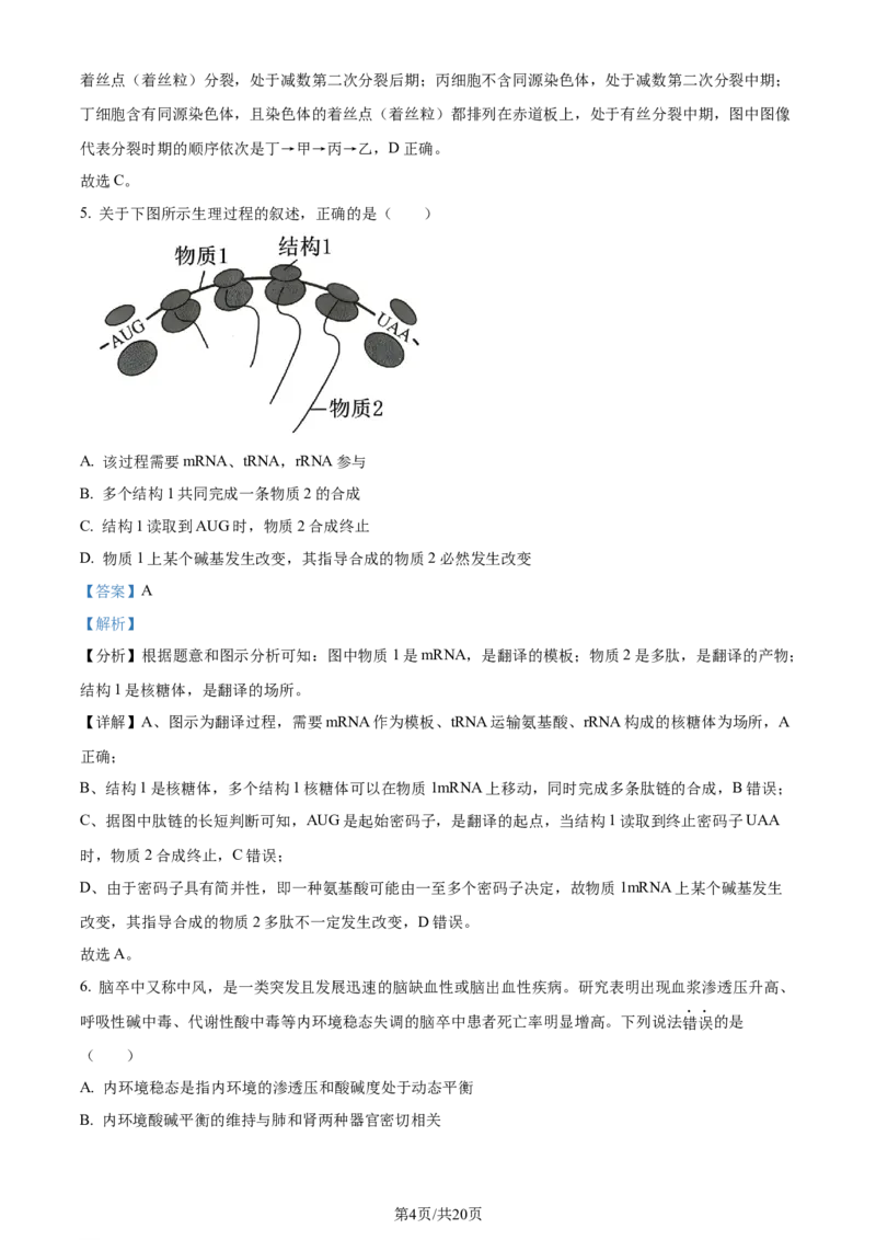 精品解析：广东省六校（东莞中学、广州二中、惠州一中、深圳实验、珠海一中、中山纪念中学）2023-2024学年高三上学期第一次联考生物试题（解析版）_2023年8月_01每日更新_15号