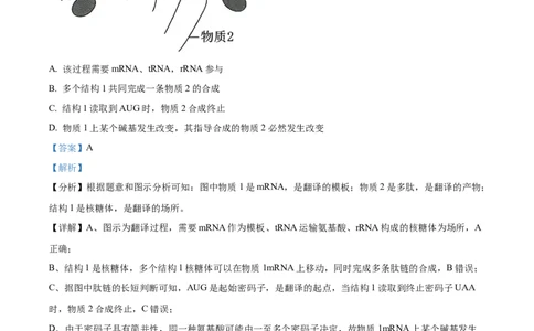 精品解析：广东省六校（东莞中学、广州二中、惠州一中、深圳实验、珠海一中、中山纪念中学）2023-2024学年高三上学期第一次联考生物试题（解析版）_2023年8月_01每日更新_15号
