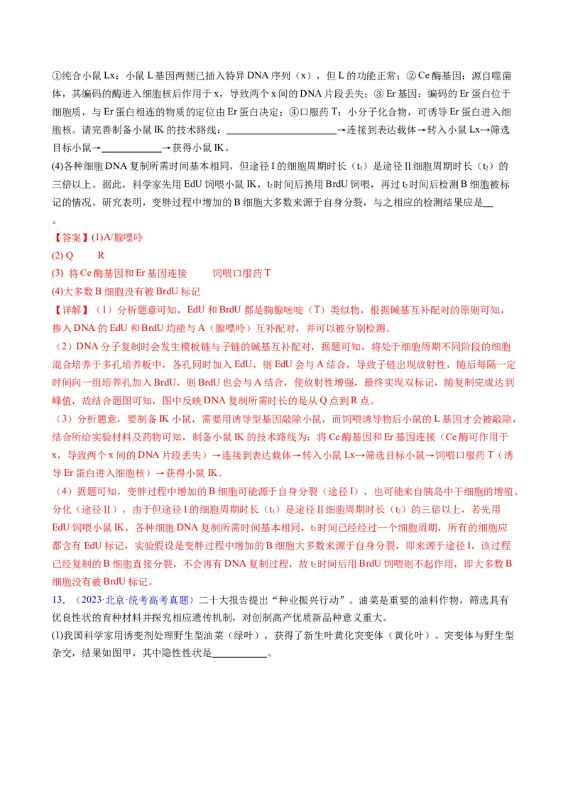 专题21基因工程-五年（2019-2023）高考生物真题分项汇编（全国通用）（解析版）_赠送：2008-2024全套高考真题_高考生物真题_送高考生物五年真题(2019-2023)分项汇编（全国通用）