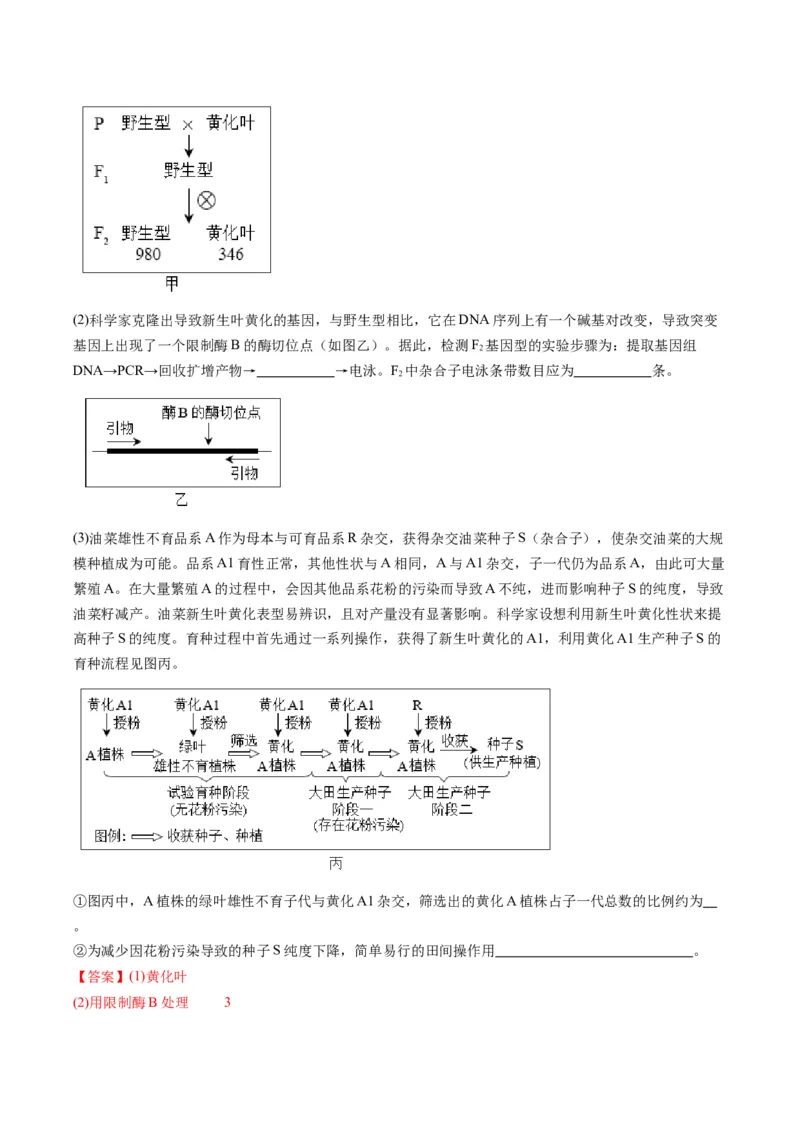 专题21基因工程-五年（2019-2023）高考生物真题分项汇编（全国通用）（解析版）_赠送：2008-2024全套高考真题_高考生物真题_送高考生物五年真题(2019-2023)分项汇编（全国通用）