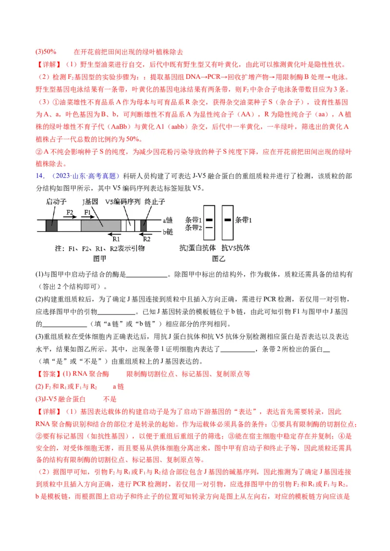 专题21基因工程-五年（2019-2023）高考生物真题分项汇编（全国通用）（解析版）_赠送：2008-2024全套高考真题_高考生物真题_送高考生物五年真题(2019-2023)分项汇编（全国通用）
