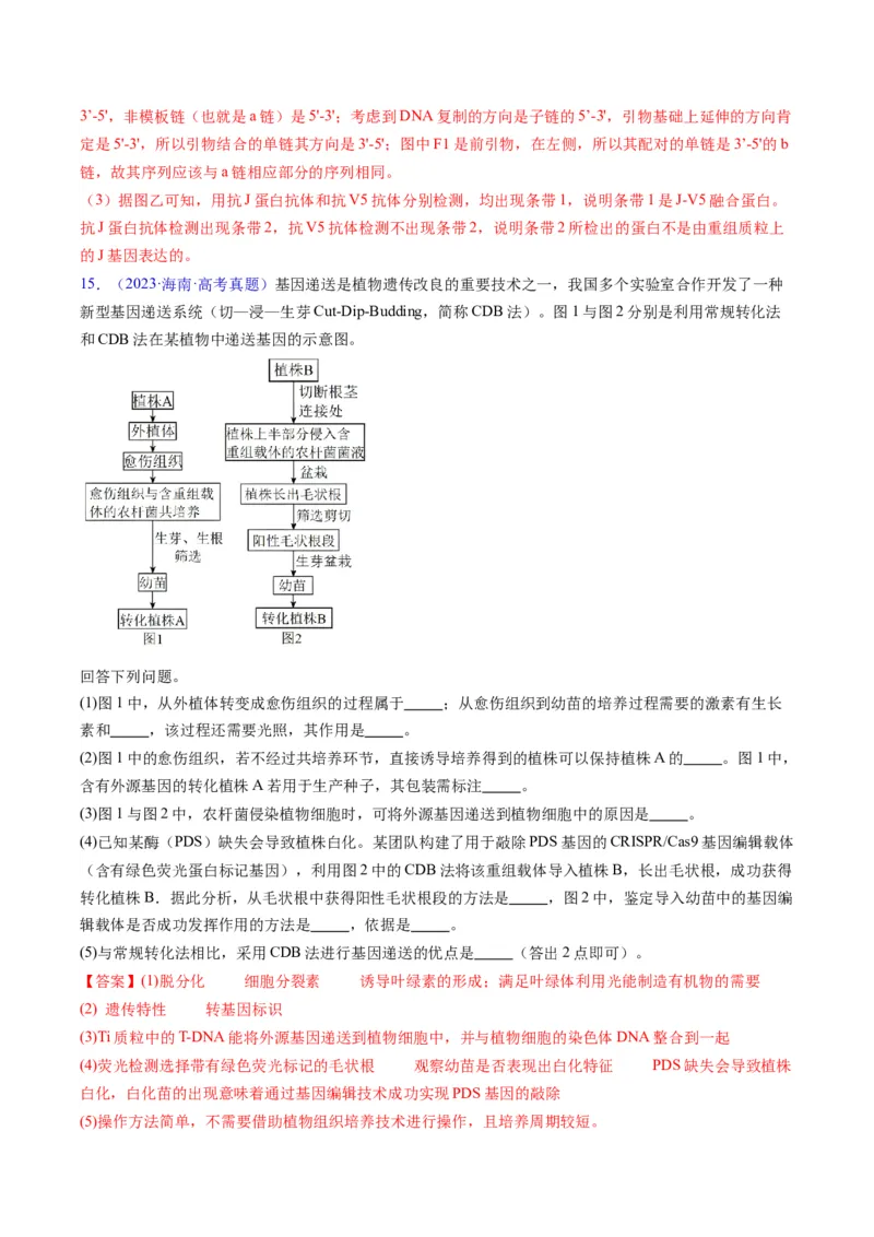 专题21基因工程-五年（2019-2023）高考生物真题分项汇编（全国通用）（解析版）_赠送：2008-2024全套高考真题_高考生物真题_送高考生物五年真题(2019-2023)分项汇编（全国通用）