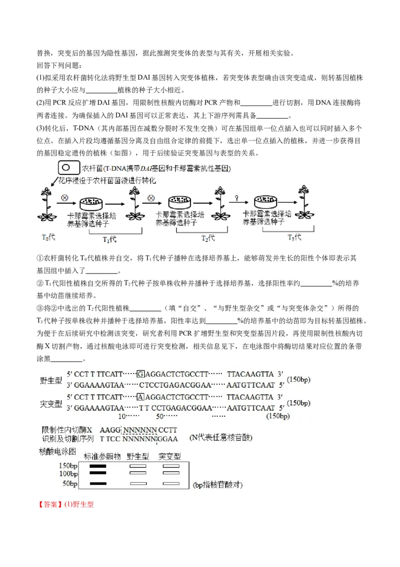 专题21基因工程-五年（2019-2023）高考生物真题分项汇编（全国通用）（解析版）_赠送：2008-2024全套高考真题_高考生物真题_送高考生物五年真题(2019-2023)分项汇编（全国通用）