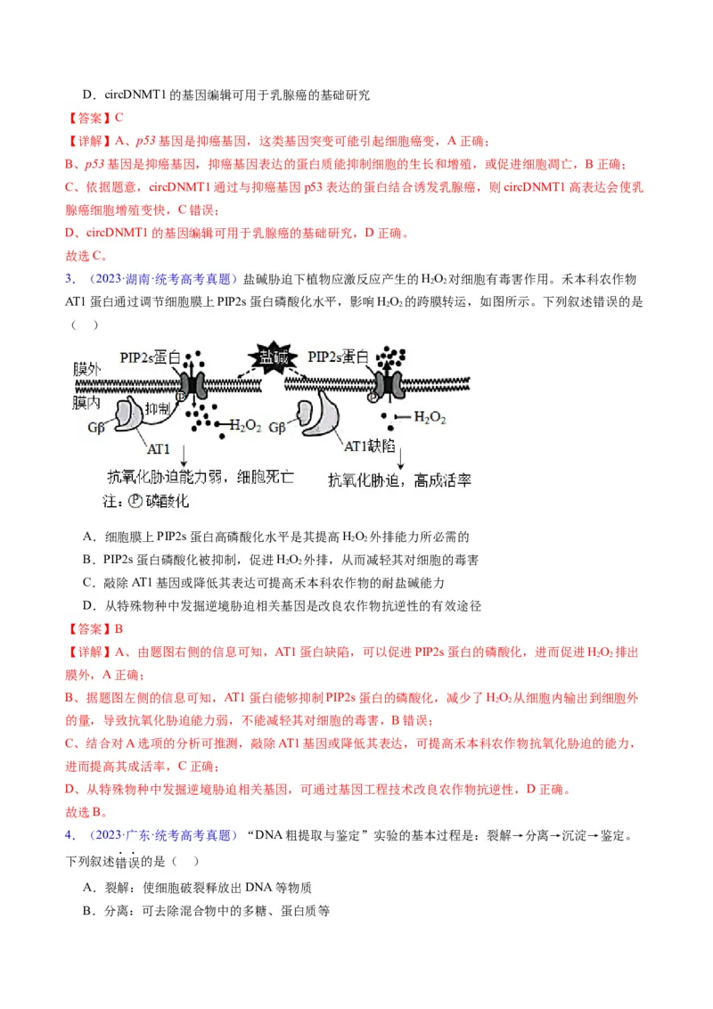 专题21基因工程-五年（2019-2023）高考生物真题分项汇编（全国通用）（解析版）_赠送：2008-2024全套高考真题_高考生物真题_送高考生物五年真题(2019-2023)分项汇编（全国通用）