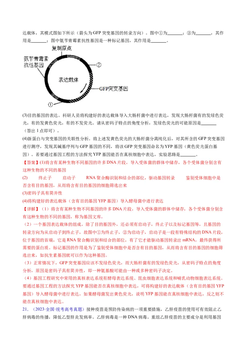 专题21基因工程-五年（2019-2023）高考生物真题分项汇编（全国通用）（解析版）_赠送：2008-2024全套高考真题_高考生物真题_送高考生物五年真题(2019-2023)分项汇编（全国通用）