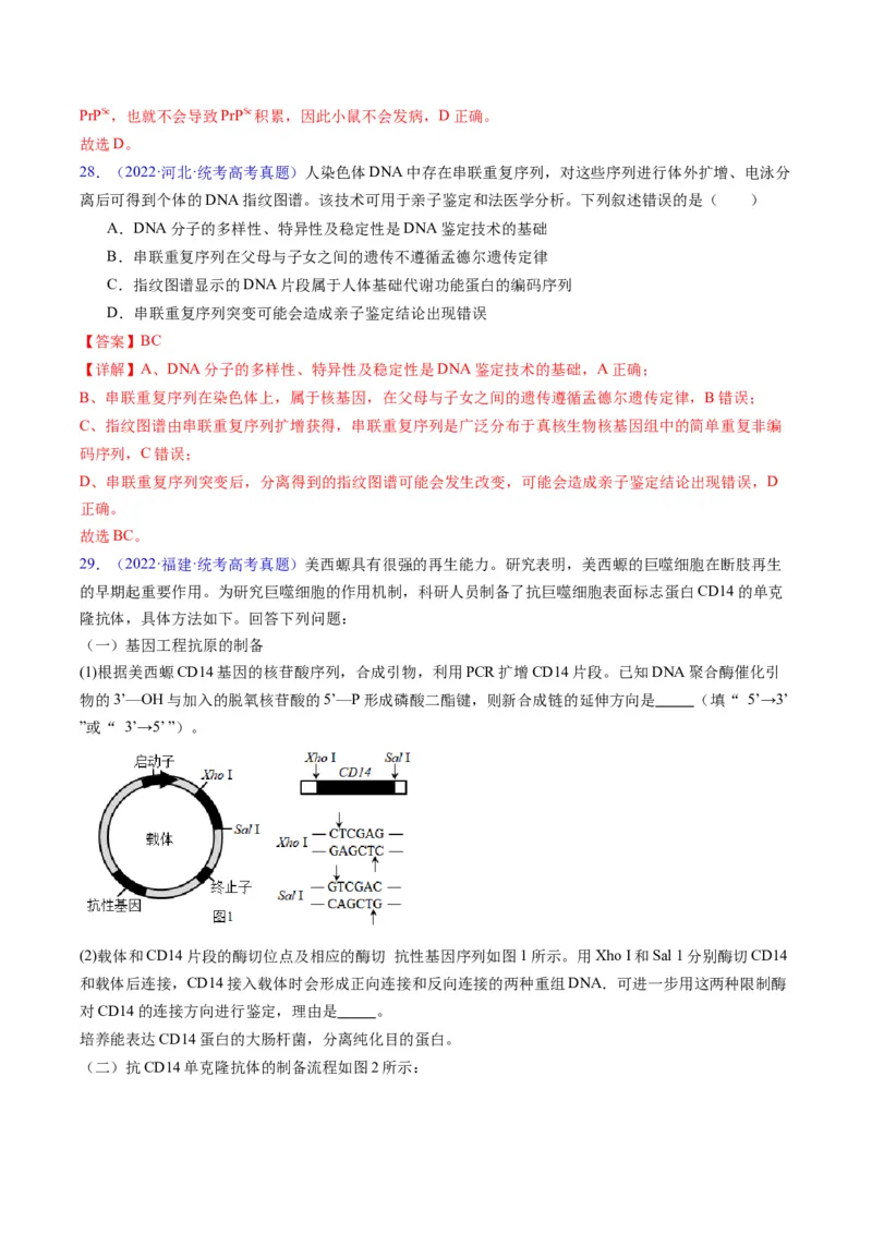 专题21基因工程-五年（2019-2023）高考生物真题分项汇编（全国通用）（解析版）_赠送：2008-2024全套高考真题_高考生物真题_送高考生物五年真题(2019-2023)分项汇编（全国通用）