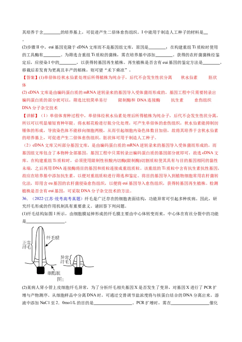 专题21基因工程-五年（2019-2023）高考生物真题分项汇编（全国通用）（解析版）_赠送：2008-2024全套高考真题_高考生物真题_送高考生物五年真题(2019-2023)分项汇编（全国通用）