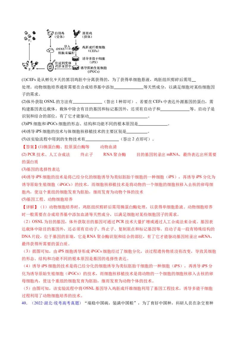 专题21基因工程-五年（2019-2023）高考生物真题分项汇编（全国通用）（解析版）_赠送：2008-2024全套高考真题_高考生物真题_送高考生物五年真题(2019-2023)分项汇编（全国通用）