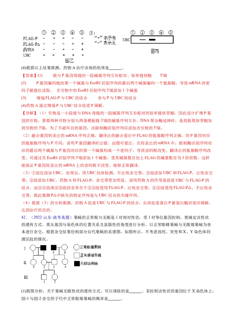 专题21基因工程-五年（2019-2023）高考生物真题分项汇编（全国通用）（解析版）_赠送：2008-2024全套高考真题_高考生物真题_送高考生物五年真题(2019-2023)分项汇编（全国通用）