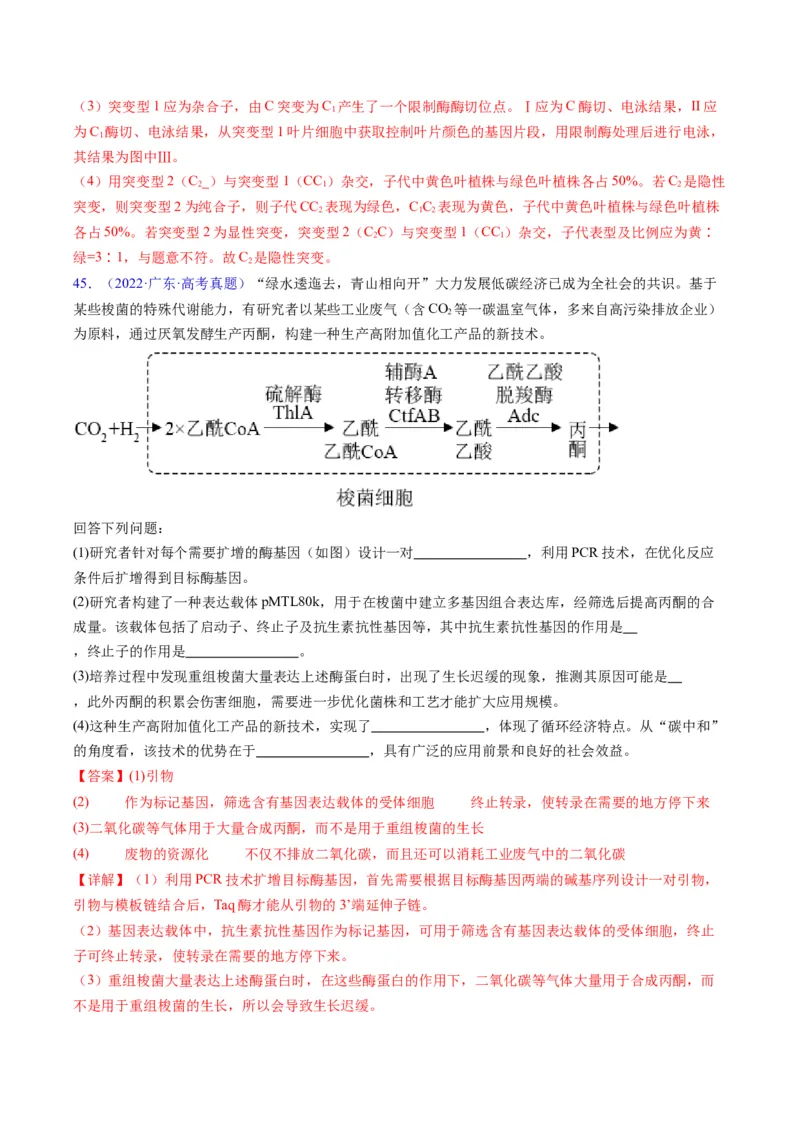 专题21基因工程-五年（2019-2023）高考生物真题分项汇编（全国通用）（解析版）_赠送：2008-2024全套高考真题_高考生物真题_送高考生物五年真题(2019-2023)分项汇编（全国通用）