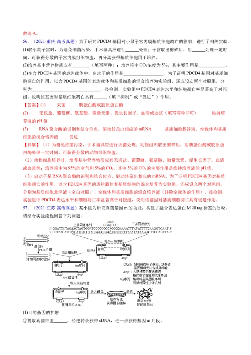 专题21基因工程-五年（2019-2023）高考生物真题分项汇编（全国通用）（解析版）_赠送：2008-2024全套高考真题_高考生物真题_送高考生物五年真题(2019-2023)分项汇编（全国通用）