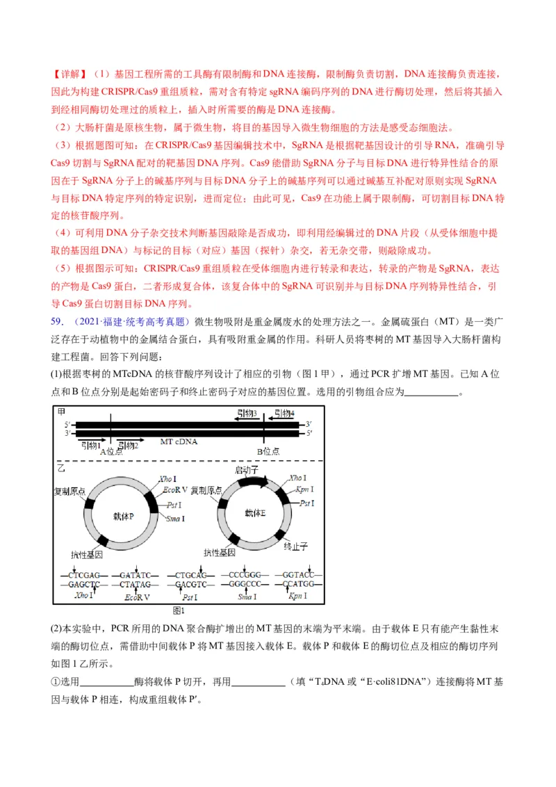 专题21基因工程-五年（2019-2023）高考生物真题分项汇编（全国通用）（解析版）_赠送：2008-2024全套高考真题_高考生物真题_送高考生物五年真题(2019-2023)分项汇编（全国通用）