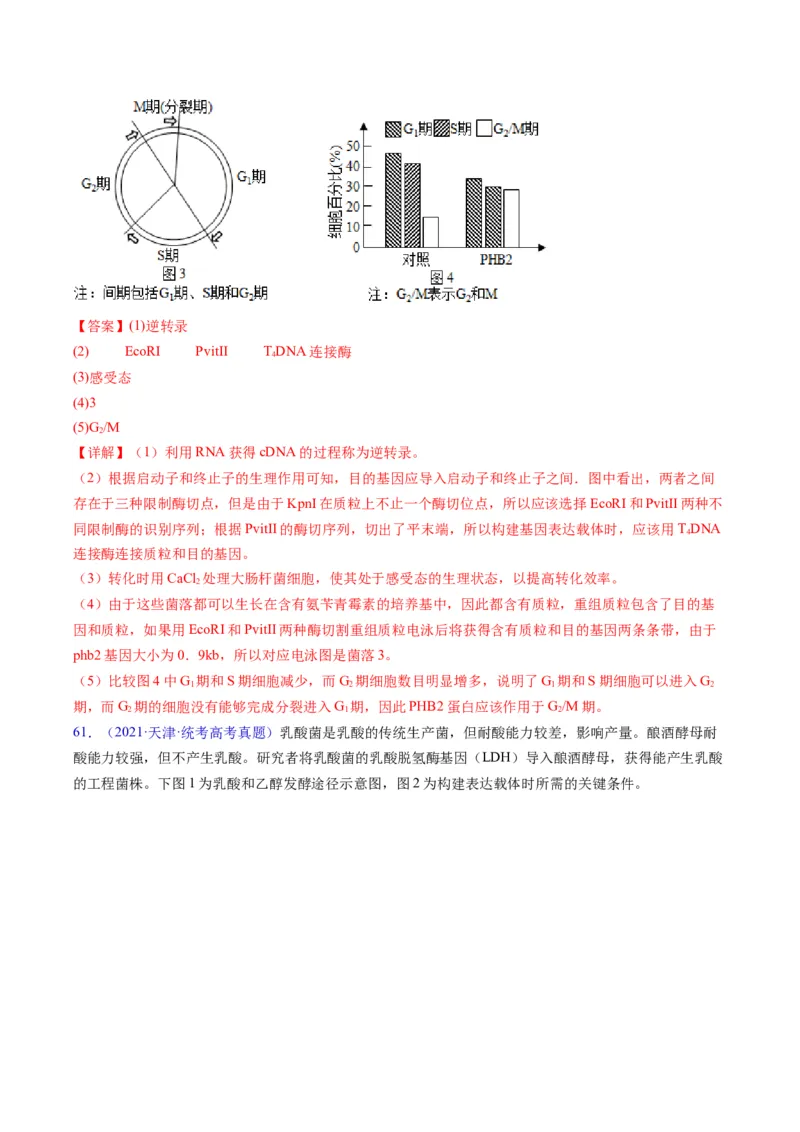 专题21基因工程-五年（2019-2023）高考生物真题分项汇编（全国通用）（解析版）_赠送：2008-2024全套高考真题_高考生物真题_送高考生物五年真题(2019-2023)分项汇编（全国通用）