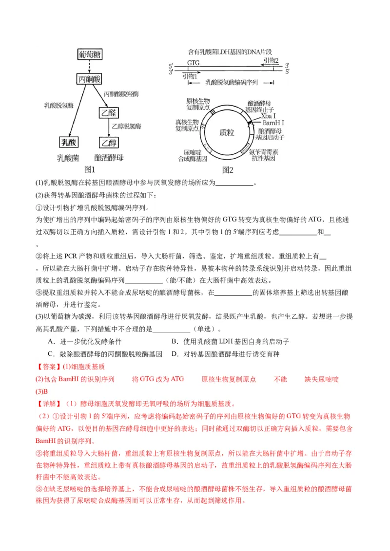 专题21基因工程-五年（2019-2023）高考生物真题分项汇编（全国通用）（解析版）_赠送：2008-2024全套高考真题_高考生物真题_送高考生物五年真题(2019-2023)分项汇编（全国通用）