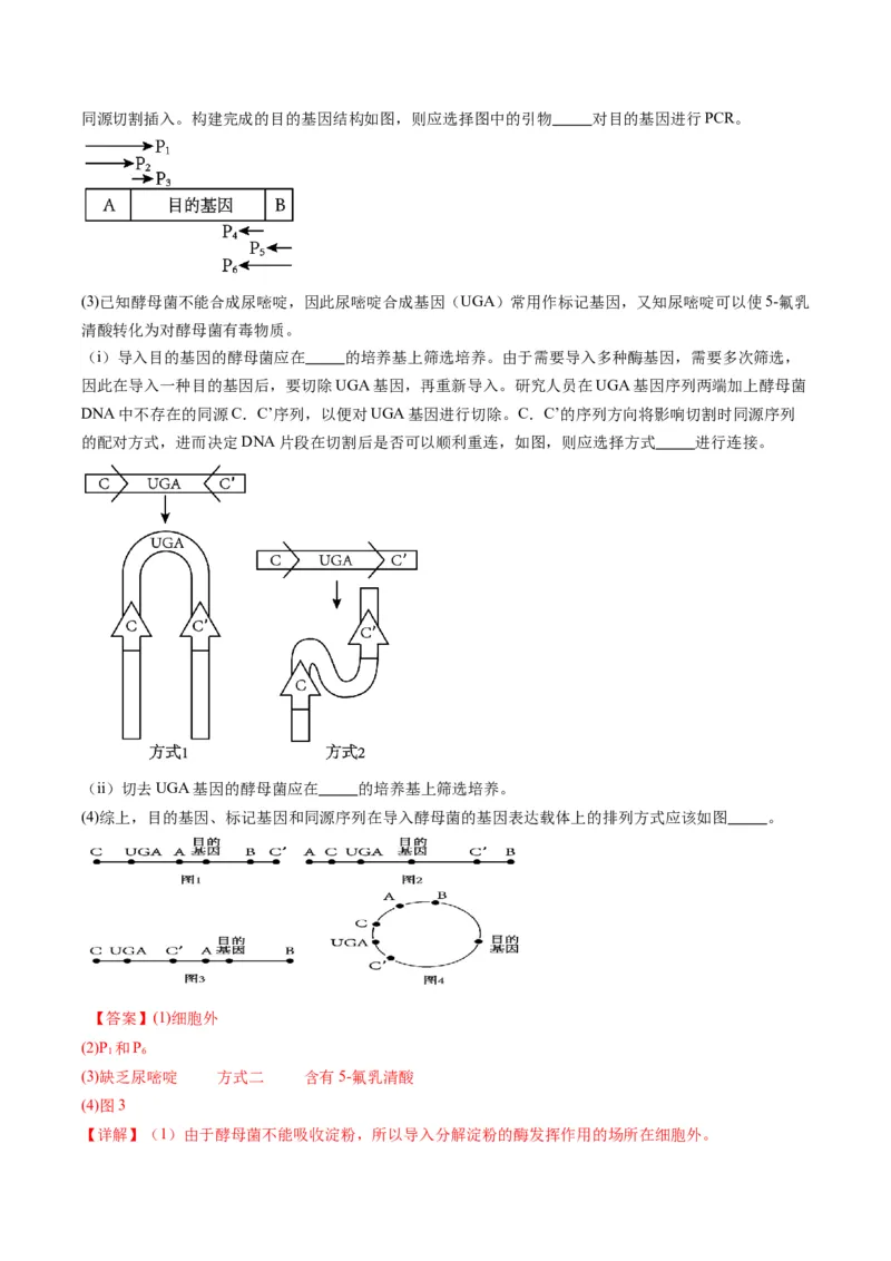 专题21基因工程-五年（2019-2023）高考生物真题分项汇编（全国通用）（解析版）_赠送：2008-2024全套高考真题_高考生物真题_送高考生物五年真题(2019-2023)分项汇编（全国通用）