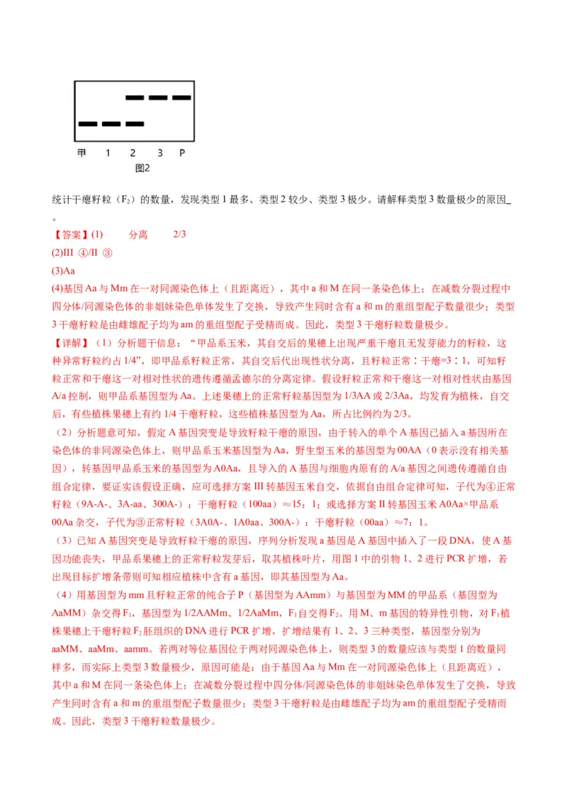 专题21基因工程-五年（2019-2023）高考生物真题分项汇编（全国通用）（解析版）_赠送：2008-2024全套高考真题_高考生物真题_送高考生物五年真题(2019-2023)分项汇编（全国通用）