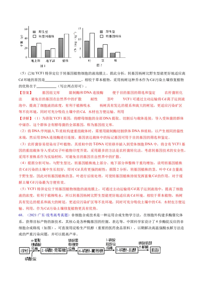 专题21基因工程-五年（2019-2023）高考生物真题分项汇编（全国通用）（解析版）_赠送：2008-2024全套高考真题_高考生物真题_送高考生物五年真题(2019-2023)分项汇编（全国通用）
