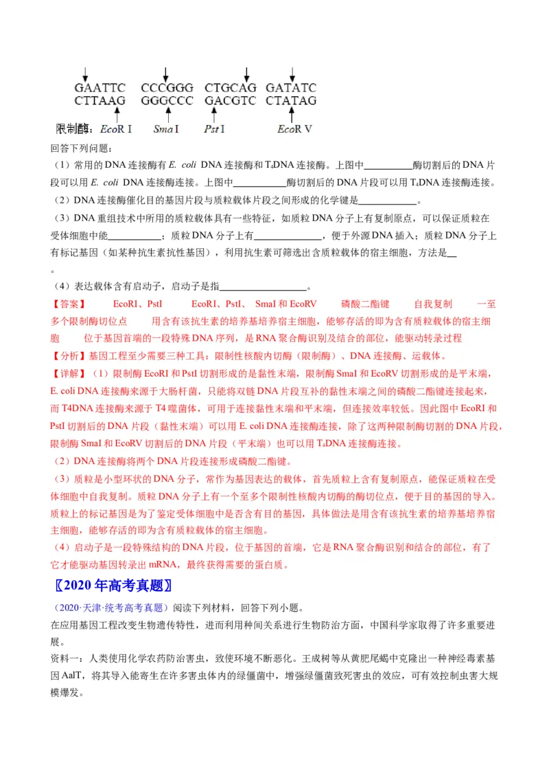 专题21基因工程-五年（2019-2023）高考生物真题分项汇编（全国通用）（解析版）_赠送：2008-2024全套高考真题_高考生物真题_送高考生物五年真题(2019-2023)分项汇编（全国通用）