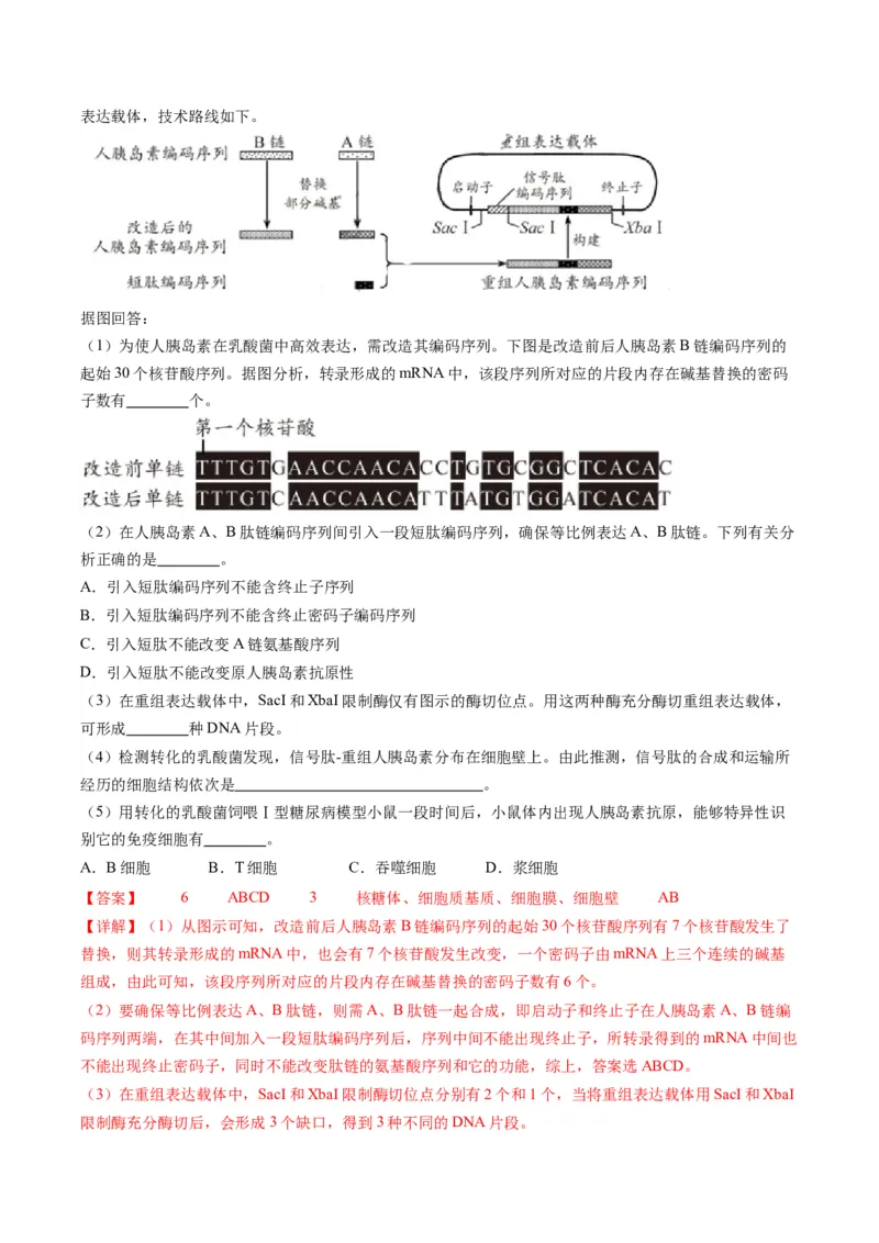 专题21基因工程-五年（2019-2023）高考生物真题分项汇编（全国通用）（解析版）_赠送：2008-2024全套高考真题_高考生物真题_送高考生物五年真题(2019-2023)分项汇编（全国通用）