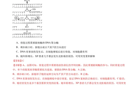 专题21基因工程-五年（2019-2023）高考生物真题分项汇编（全国通用）（解析版）_赠送：2008-2024全套高考真题_高考生物真题_送高考生物五年真题(2019-2023)分项汇编（全国通用）