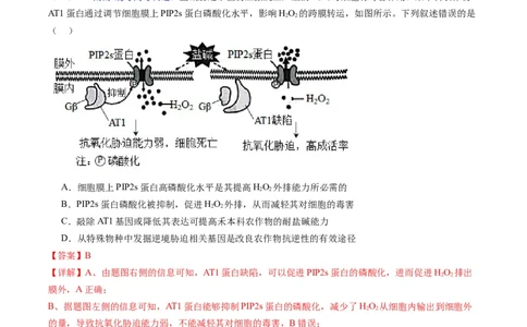 专题21基因工程-五年（2019-2023）高考生物真题分项汇编（全国通用）（解析版）_赠送：2008-2024全套高考真题_高考生物真题_送高考生物五年真题(2019-2023)分项汇编（全国通用）