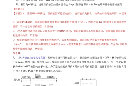 专题21基因工程-五年（2019-2023）高考生物真题分项汇编（全国通用）（解析版）_赠送：2008-2024全套高考真题_高考生物真题_送高考生物五年真题(2019-2023)分项汇编（全国通用）