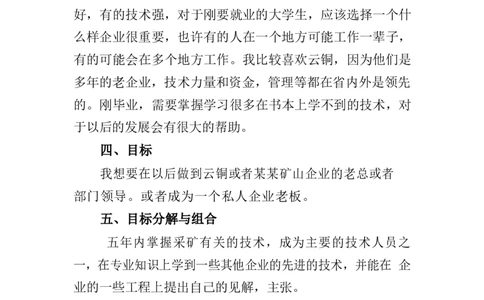 大学生职业生涯规划书10_E6-职业规划_90冶金专业