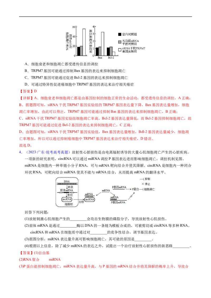 专题07细胞得分化、衰老、凋亡及癌变-五年（2019-2023）高考生物真题分项汇编（全国通用）（解析版）_赠送：2008-2024全套高考真题_高考生物真题