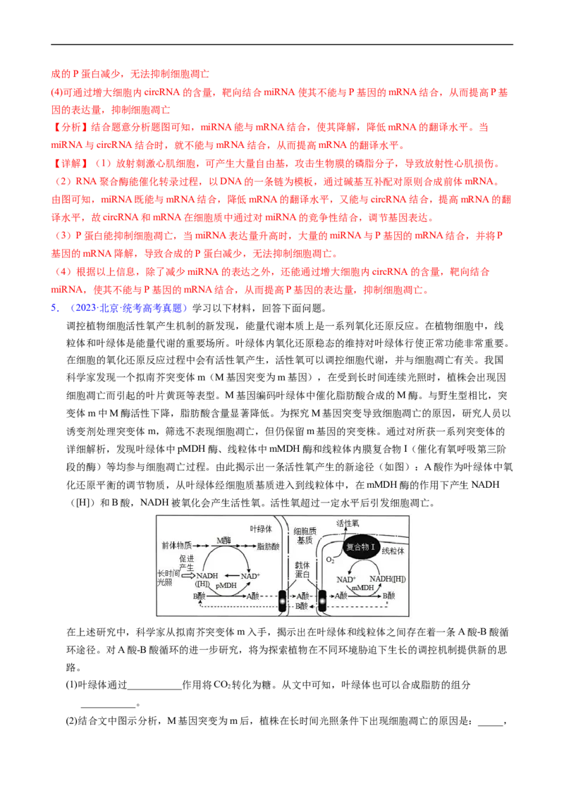 专题07细胞得分化、衰老、凋亡及癌变-五年（2019-2023）高考生物真题分项汇编（全国通用）（解析版）_赠送：2008-2024全套高考真题_高考生物真题