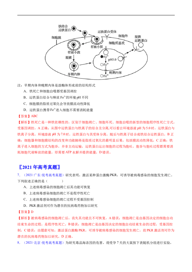 专题07细胞得分化、衰老、凋亡及癌变-五年（2019-2023）高考生物真题分项汇编（全国通用）（解析版）_赠送：2008-2024全套高考真题_高考生物真题