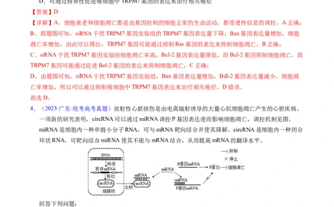专题07细胞得分化、衰老、凋亡及癌变-五年（2019-2023）高考生物真题分项汇编（全国通用）（解析版）_赠送：2008-2024全套高考真题_高考生物真题